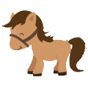 starlinkvpn-admin-test.pages.dev favicon